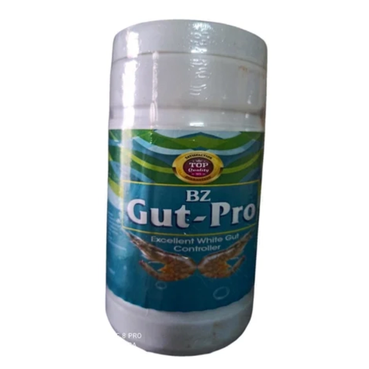 Gut Probiotics beta gluconTo Control White Gut Disease