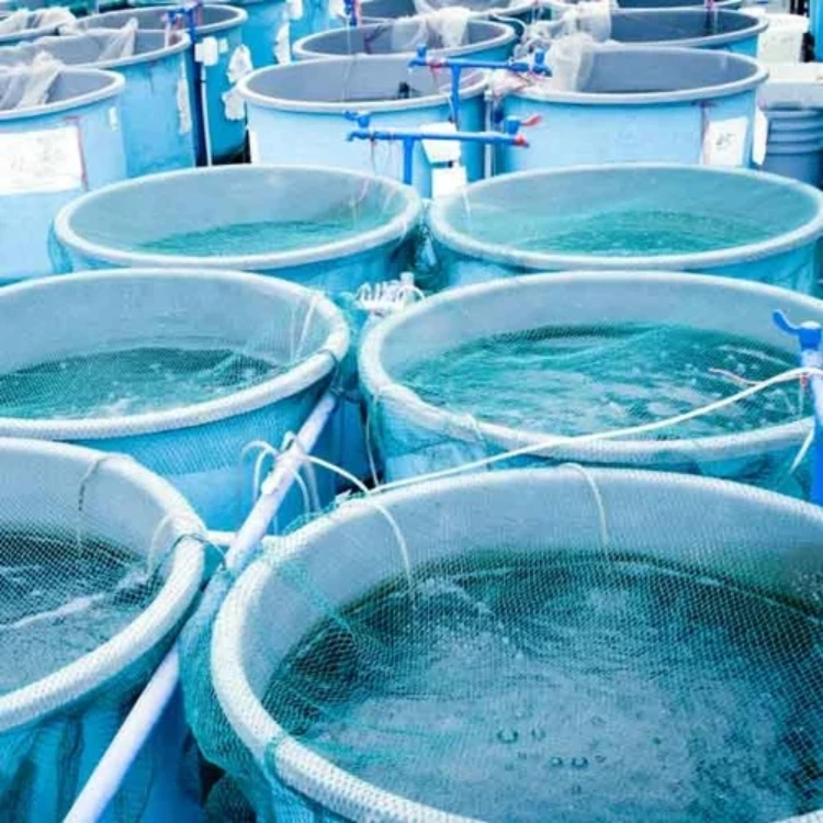 Multisanitizer For Aqua Culture-img1