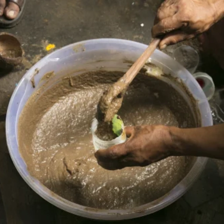 Panchagavya Fertilizers-img1 Panchagavya Fertilizers