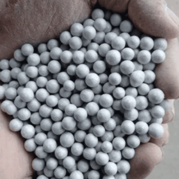 Probiotic coted zeolite granules