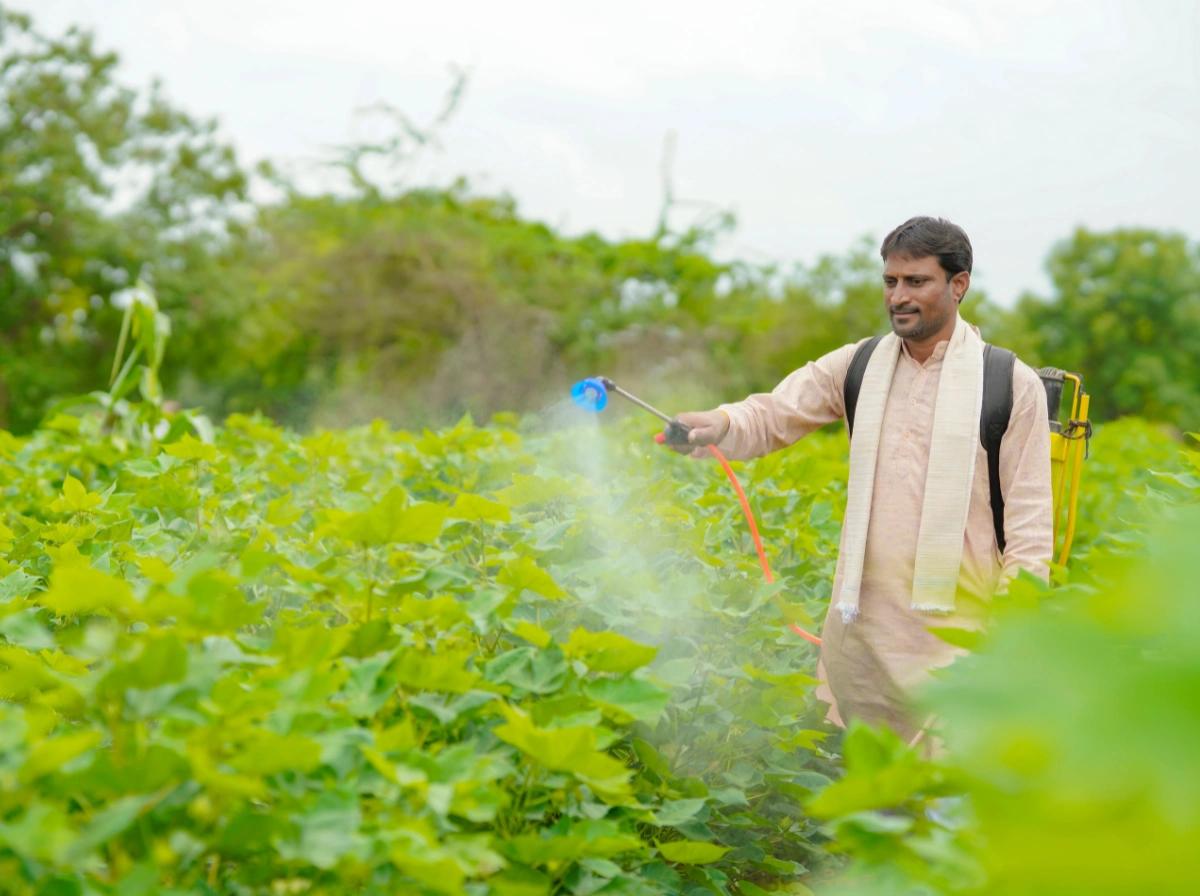Agriculture Products
