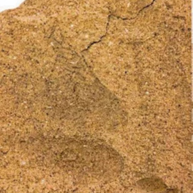 fishmeal steam fishmeal steam