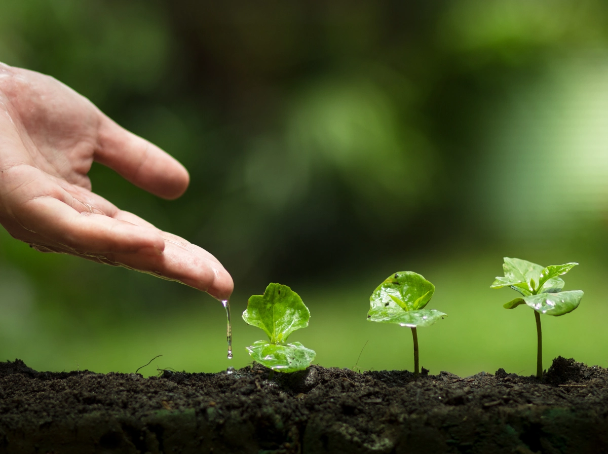 Agriculture Products