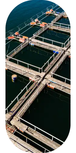 menneni-ab-img2-1 menneni-ab-img2-1