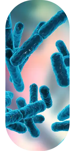 menneni-ab-img3-1 menneni-ab-img3-1