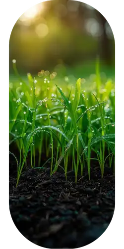 menneni-ab-img4-1 menneni-ab-img4-1